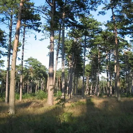 11 Person In Vaeggerlose-by Traum בית נופש