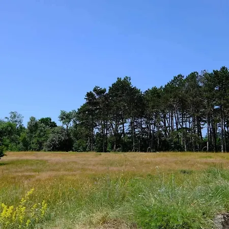 11 Person In Vaeggerlose-by Traum בית נופש *