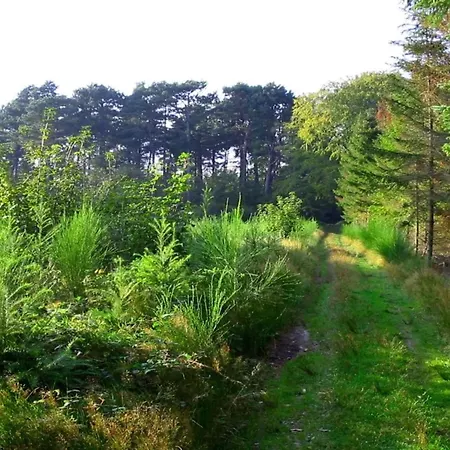 בית נופש 11 Person In Vaeggerlose-by Traum *