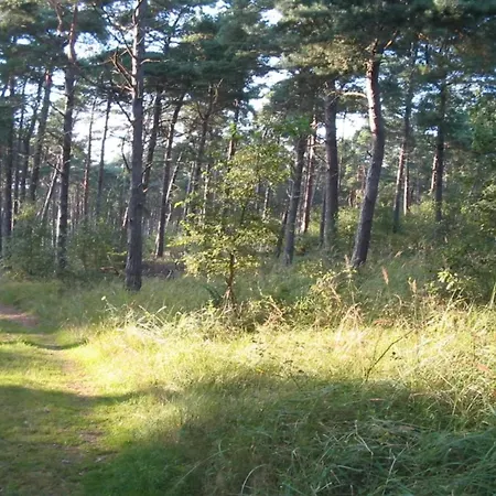 11 Person In Vaeggerlose-by Traum Bøtø By