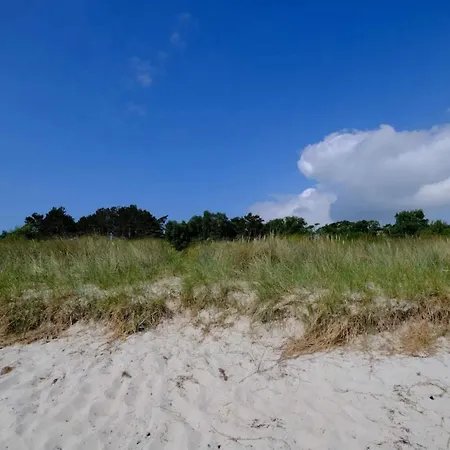 11 Person In Vaeggerlose-by Traum * Bøtø By