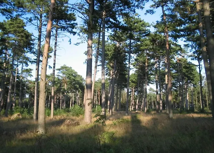 11 Person In Vaeggerlose-by Traum בית נופש