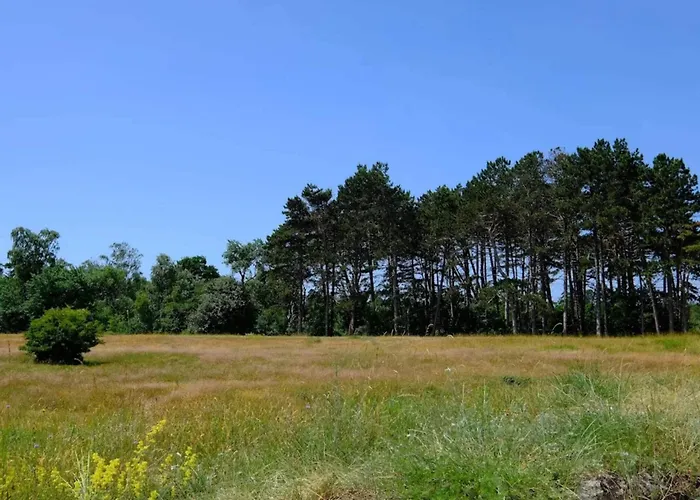 11 Person In Vaeggerlose-by Traum בית נופש *