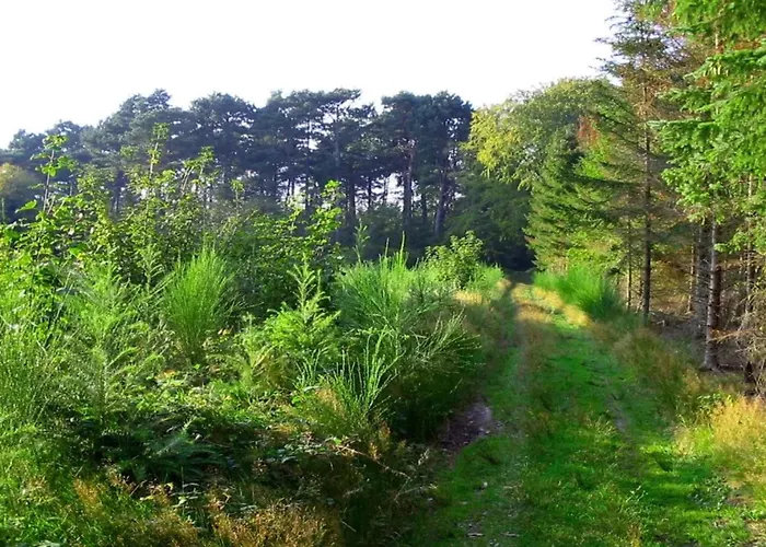 בית נופש 11 Person In Vaeggerlose-by Traum *