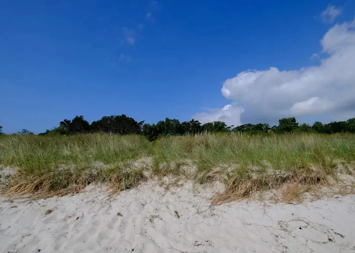 11 Person In Vaeggerlose-by Traum * Bøtø By